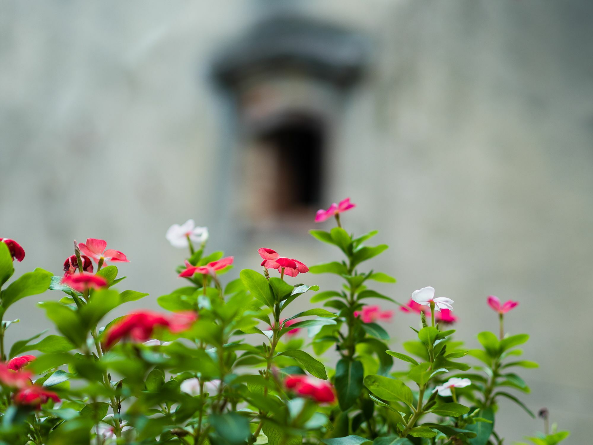 Hanoi Balcony Homestay Dış mekan fotoğraf